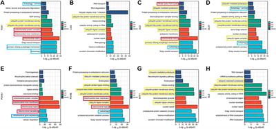 The cuproptosis related genes signature predicts the prognosis and correlates with the immune status of clear cell renal cell carcinoma